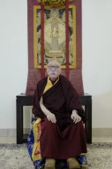 Condolences on the passing of Ju Mipham Rinpoche